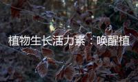 植物生長活力素：喚醒植物的生命能量！