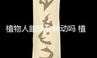 植物人眼珠會(huì)轉(zhuǎn)動(dòng)嗎 植物人的臨床表現(xiàn)有什么