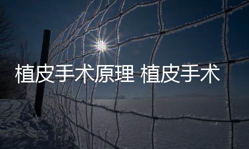植皮手術(shù)原理 植皮手術(shù)果怎么樣
