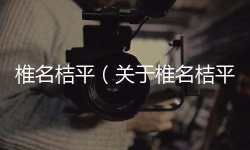 椎名桔平（關于椎名桔平的基本情況說明介紹）