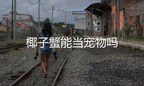 椰子蟹能當寵物嗎