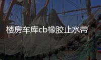 樓房車庫cb橡膠止水帶300X8mm