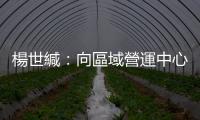 楊世緘：向區域營運中心邁進｜天下雜誌