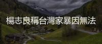 楊志良稱臺灣家暴因無法修理蔡英文 吳欣岱：郭臺銘找到他的陳之漢
