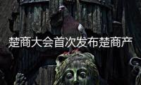 楚商大會首次發(fā)布楚商產(chǎn)業(yè)地圖