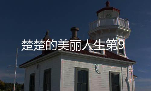 楚楚的美麗人生第9