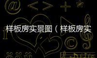 樣板房實(shí)景圖（樣板房實(shí)景）