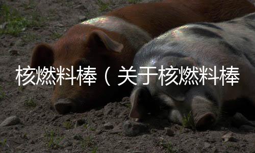 核燃料棒（關于核燃料棒的基本情況說明介紹）