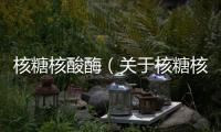 核糖核酸酶（關于核糖核酸酶的基本情況說明介紹）