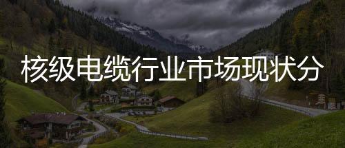 核級電纜行業市場現狀分析及投資機遇研究報告