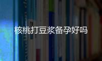核桃打豆漿備孕好嗎