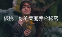 核桃，你的美麗養分秘密