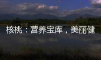 核桃：營養(yǎng)寶庫，美麗健康由內(nèi)而發(fā)
