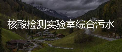 核酸檢測實驗室綜合污水處理設備