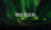 核驗驗證碼