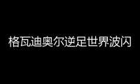 格瓦迪奧爾逆足世界波閃耀，當選曼城戰狼隊最佳