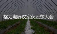 格力電器議案獲股東大會通過