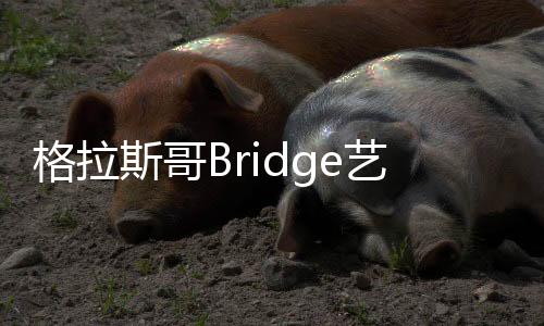 格拉斯哥Bridge藝術中心獲國家建筑獎