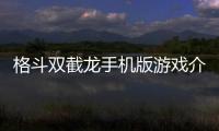 格斗雙截龍手機版游戲介紹（格斗雙截龍手機版）