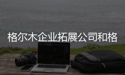 格爾木企業(yè)拓展公司和格爾木開發(fā)軟件科技公司招聘的情況說明