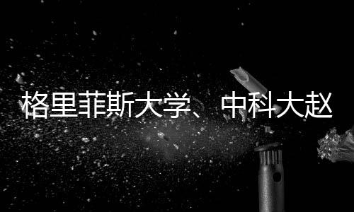 格里菲斯大學、中科大趙惠軍Angew：高導電性和高振實密度的蛋黃
