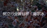 樹立行業(yè)新標(biāo)桿！海爾冰箱發(fā)布平嵌·超薄零嵌白皮書