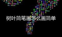 樹葉簡筆畫怎么畫簡單