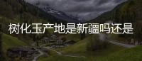樹(shù)化玉產(chǎn)地是新疆嗎還是云南（樹(shù)化玉產(chǎn)地）