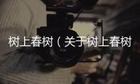 樹上春樹（關于樹上春樹的基本情況說明介紹）
