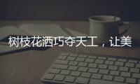 樹枝花灑巧奪天工，讓美在世界流淌
