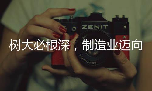 樹大必根深，制造業邁向中高端須啃下“硬骨頭”