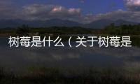 樹莓是什么（關(guān)于樹莓是什么的基本情況說明介紹）