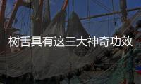 樹舌具有這三大神奇功效詳解  你造嗎？
