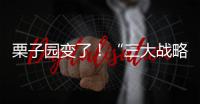 栗子園變了！“三大戰略”調整，吹響發展新號角！