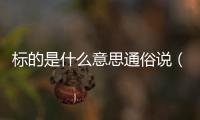標的是什么意思通俗說（標的是什么意思）