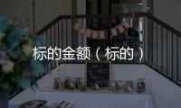 標(biāo)的金額（標(biāo)的）