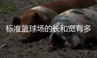 標準籃球場的長和寬有多少米（標準籃球場的長和寬）