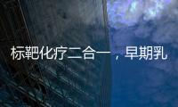 標(biāo)靶化療二合一，早期乳腺癌術(shù)后治療新出路