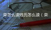 欒怎么讀姓氏怎么讀（欒姓氏怎么讀）