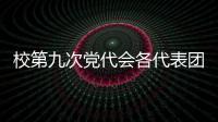 校第九次黨代會各代表團認真審議“兩委”報告