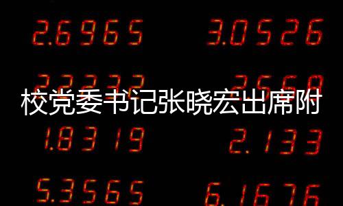 校黨委書記張曉宏出席附二院2025年度工作會議