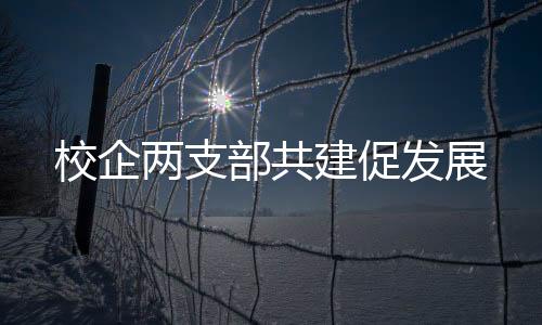校企兩支部共建促發展