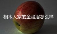 桐木人家的金駿眉怎么樣（桐木）