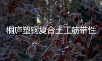 桐廬塑鋼復(fù)合土工筋帶性能