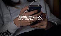 桑椹是什么