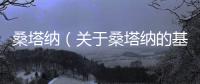 桑塔納（關于桑塔納的基本情況說明介紹）