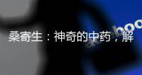 桑寄生：神奇的中藥，解讀功效與禁忌！