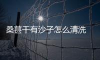 桑葚干有沙子怎么清洗 桑葚干不洗能直接吃嗎