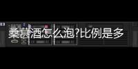 桑葚酒怎么泡?比例是多少