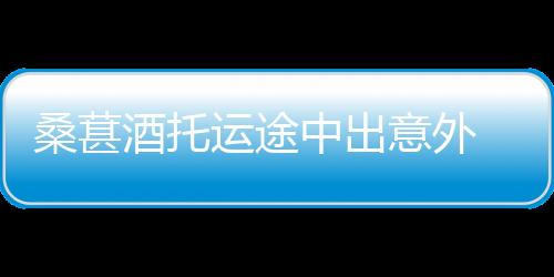 桑葚酒托運途中出意外 消保委調解獲全額賠償